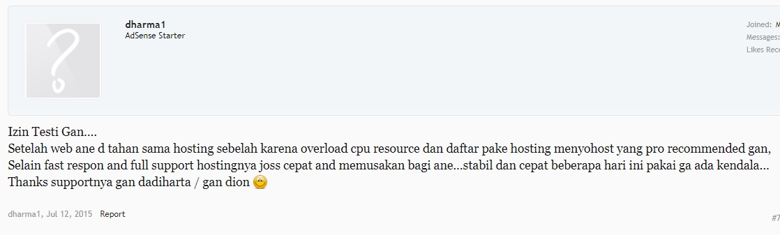 review ads.id Juli 2015