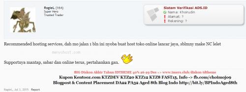 review ads.id Juli 2015